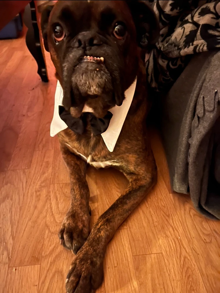 GIF ajouté par Maxine