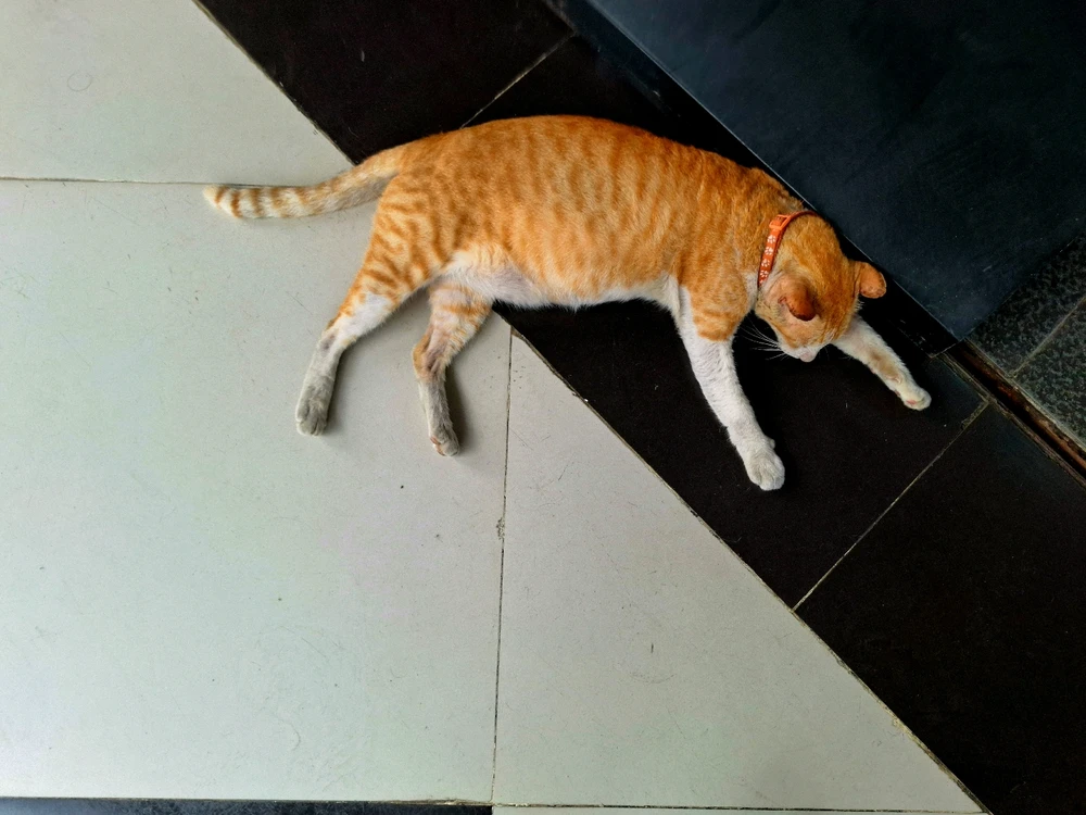 GIF uploaded by Anda