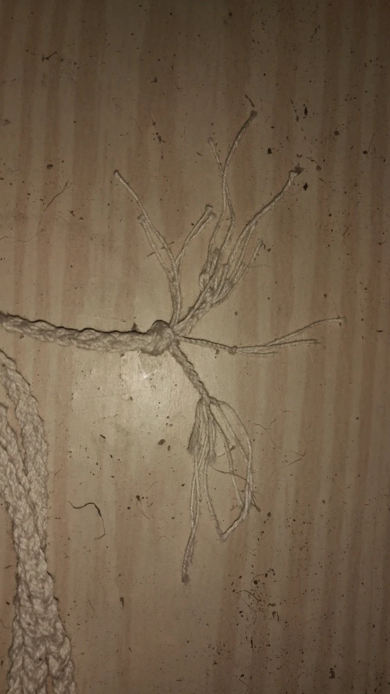 Bild hochgeladen von Tony (Knuddel McKnuddelgesicht)