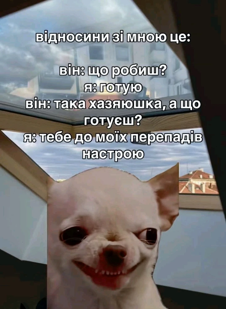 Гіфку завантажив Nina