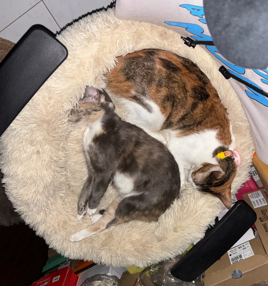 GIF uploaded by Pat♡