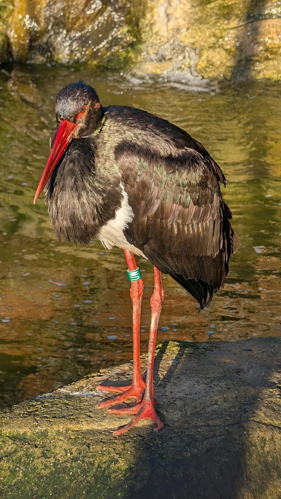 Image uploaded by James Humphreys