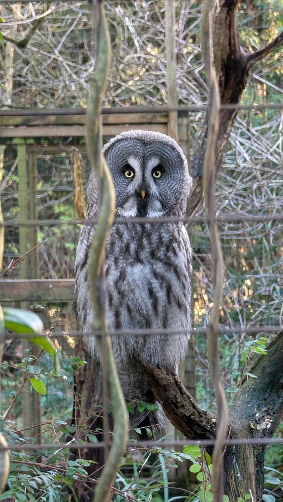 Image uploaded by James Humphreys