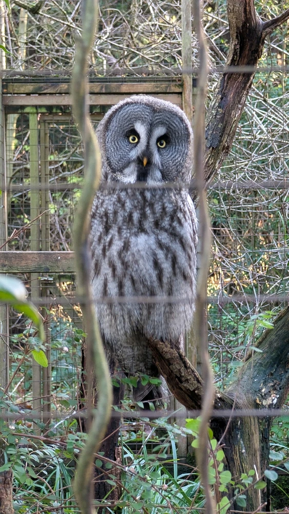 Image uploaded by James Humphreys