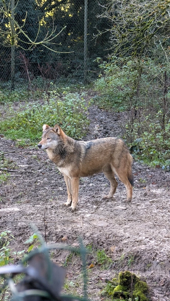 Image uploaded by James Humphreys