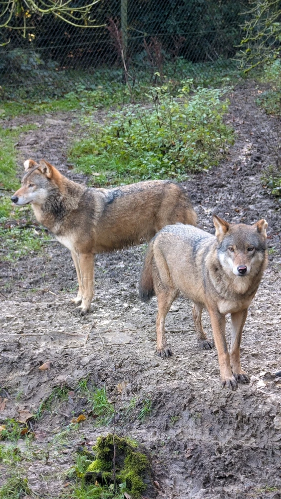 Image uploaded by James Humphreys