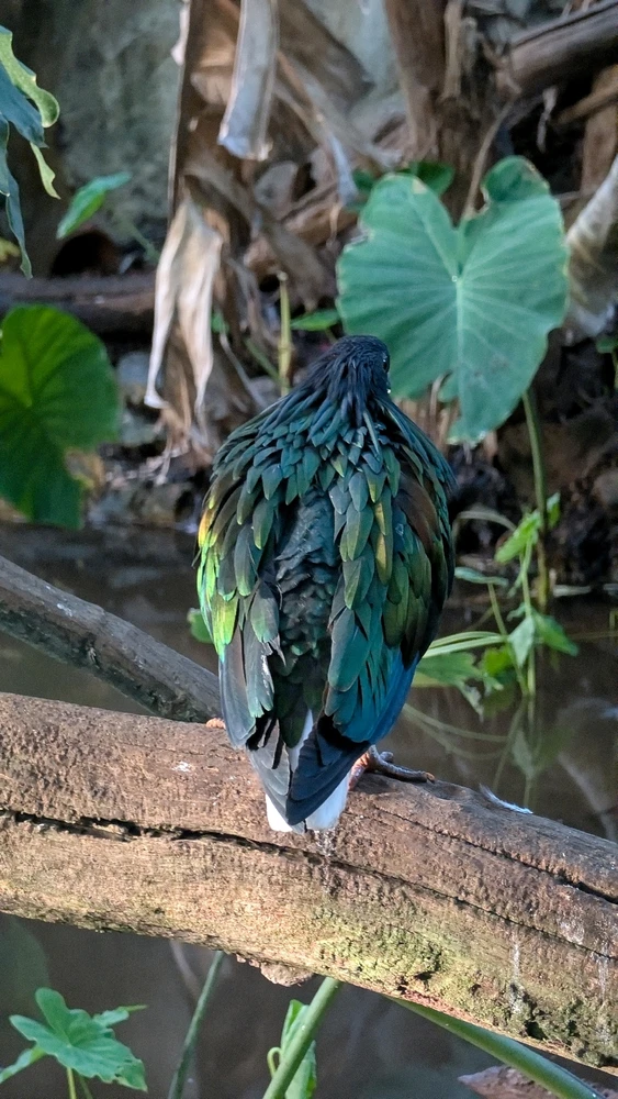 Image uploaded by James Humphreys