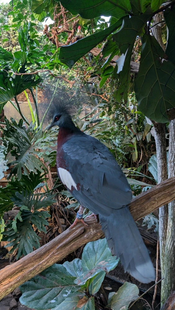 Image uploaded by James Humphreys