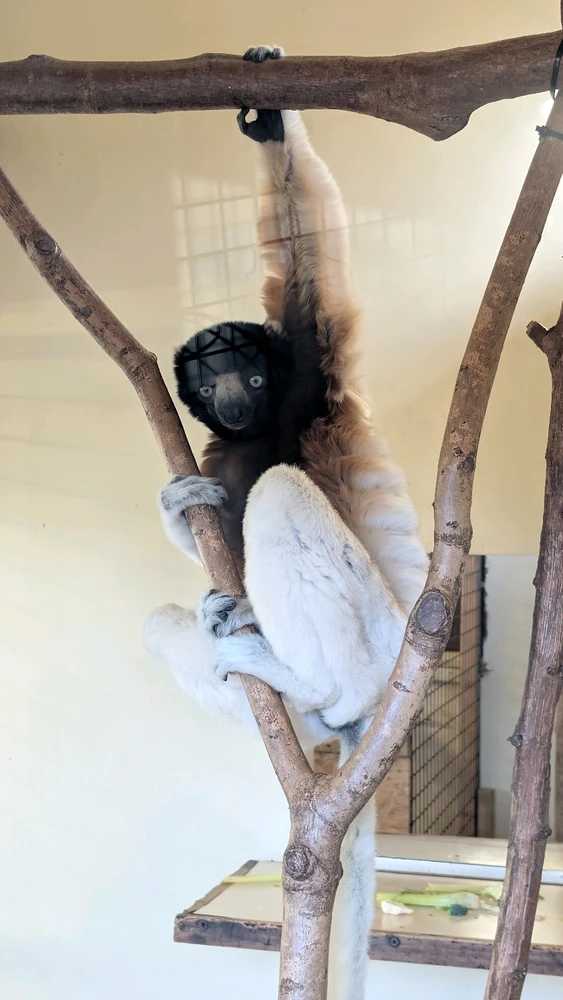 Image uploaded by James Humphreys