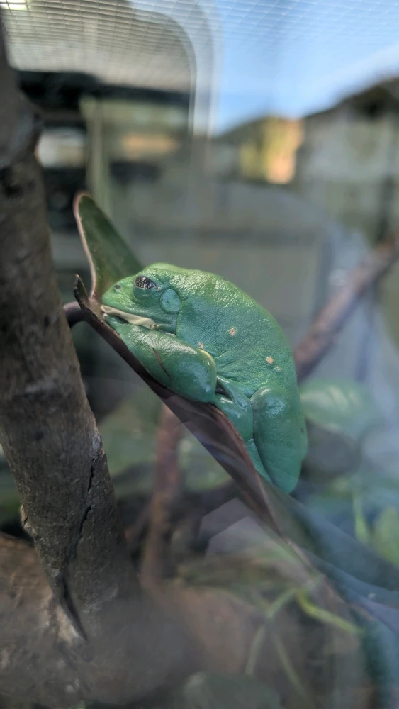 Image uploaded by James Humphreys