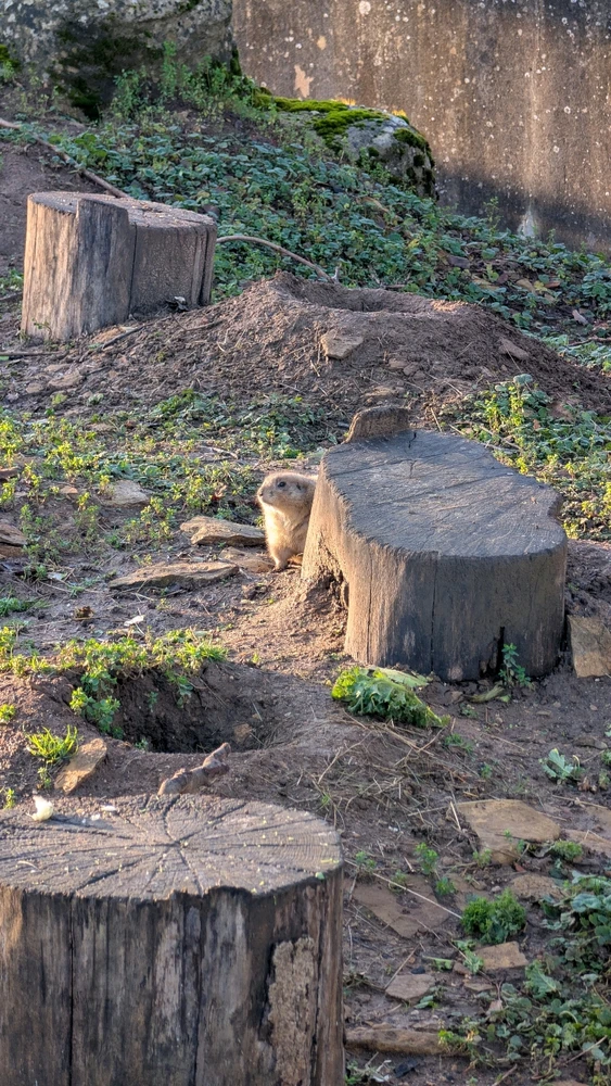 Image uploaded by James Humphreys