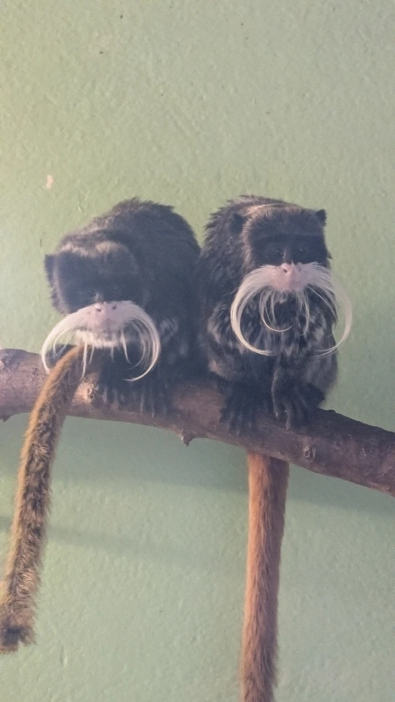 Image uploaded by James Humphreys