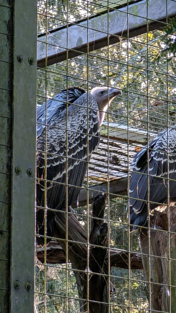 Image uploaded by James Humphreys