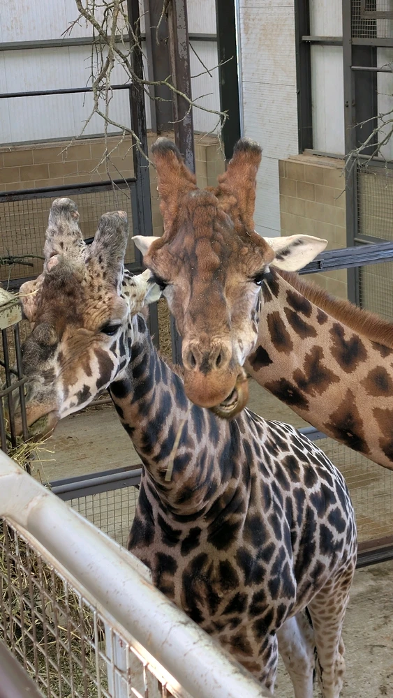 Image uploaded by James Humphreys