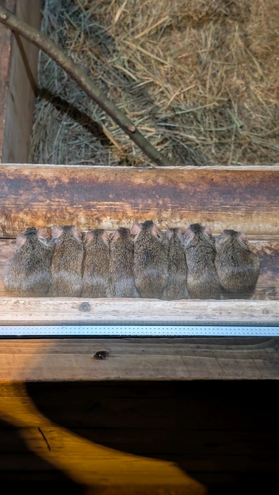 Image uploaded by James Humphreys