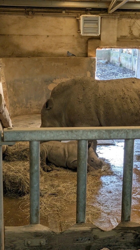 Image uploaded by James Humphreys