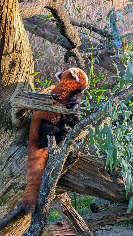 Image uploaded by James Humphreys