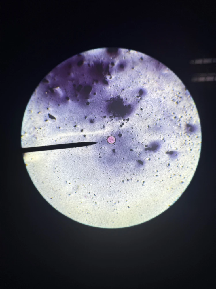 Image uploaded by Ellysha