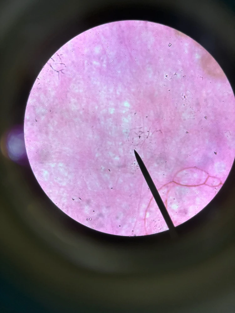 Image uploaded by Ellysha