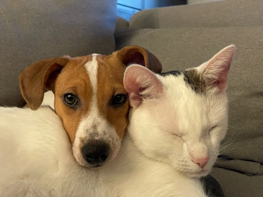 Bild hochgeladen von Bea