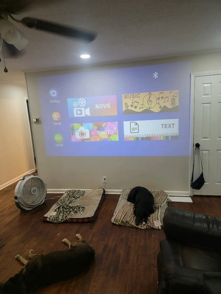 GIF uploaded by Adam