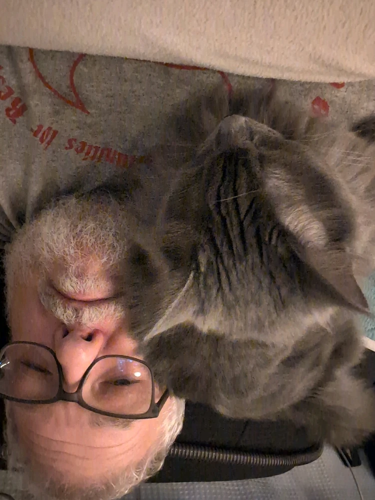 Image uploaded by AJ