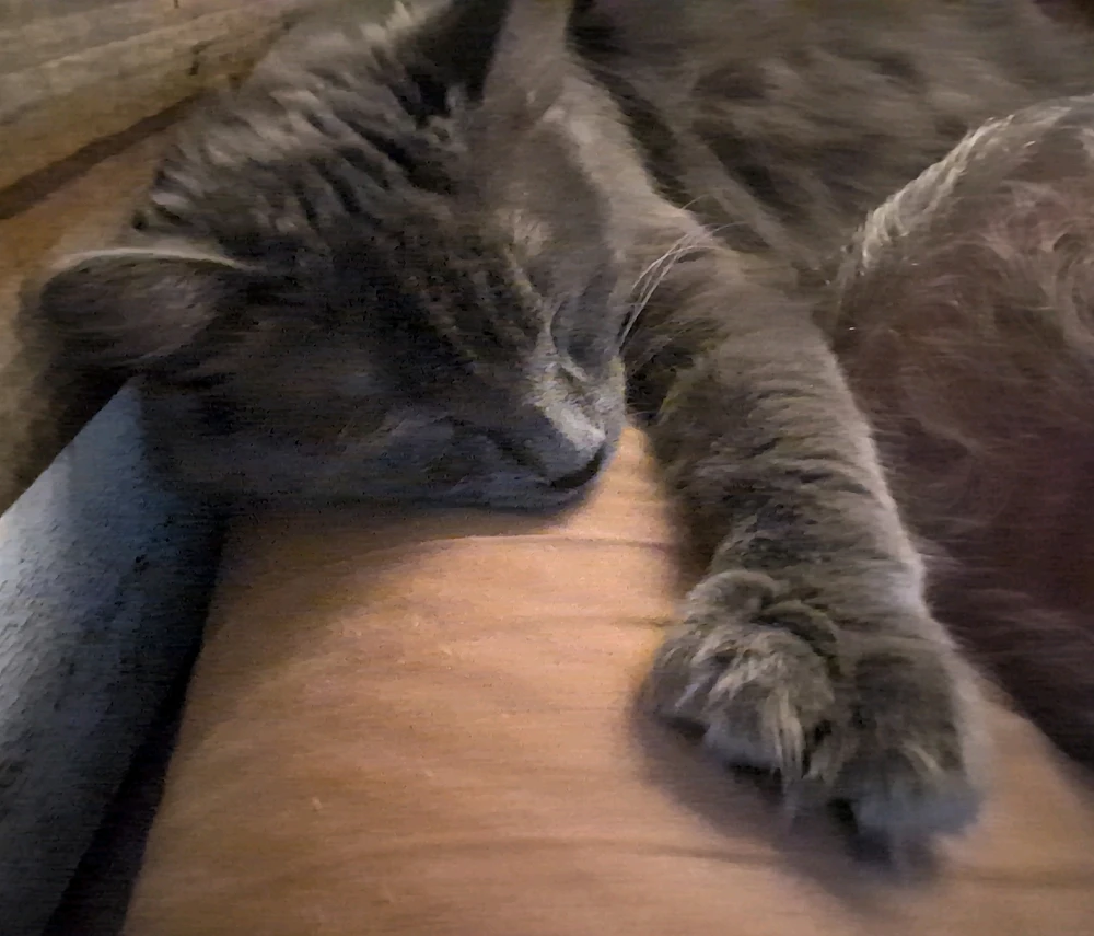 Image uploaded by AJ