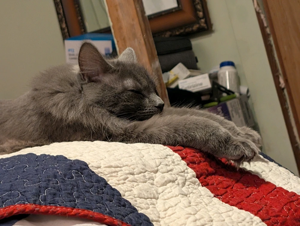 Image uploaded by AJ