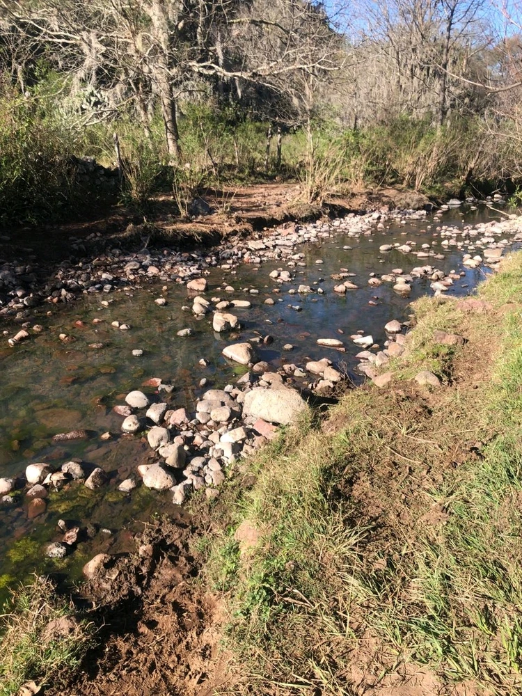 Imagen subida por Roxana