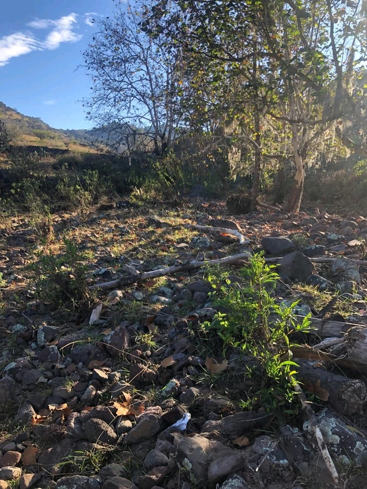 Imagen subida por Roxana