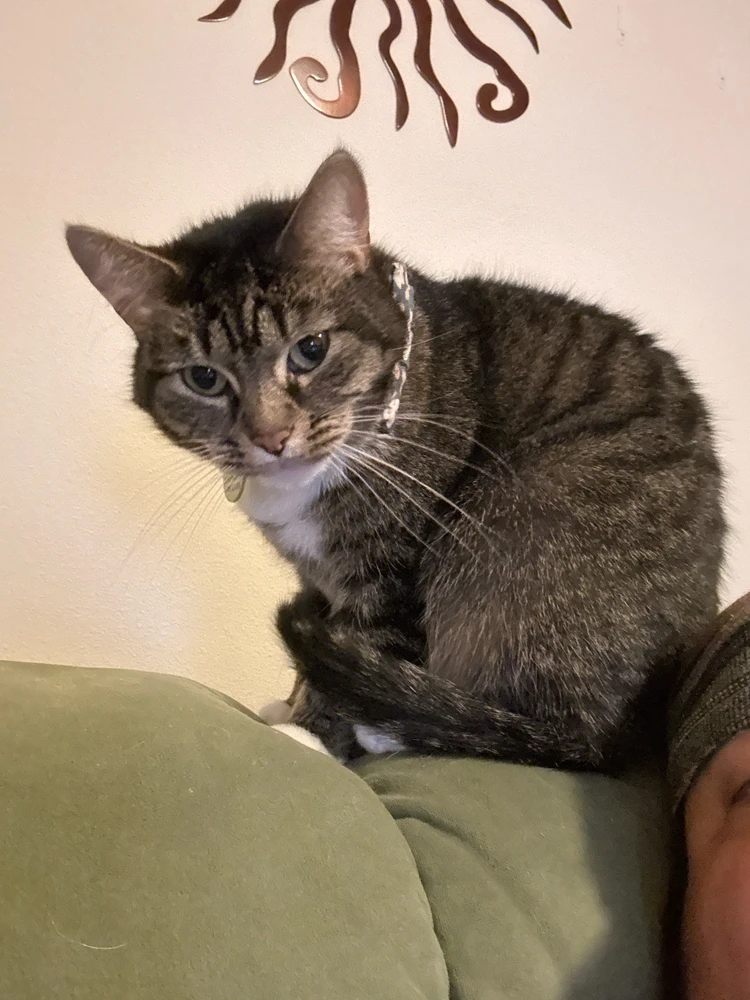 GIF uploaded by Kevin