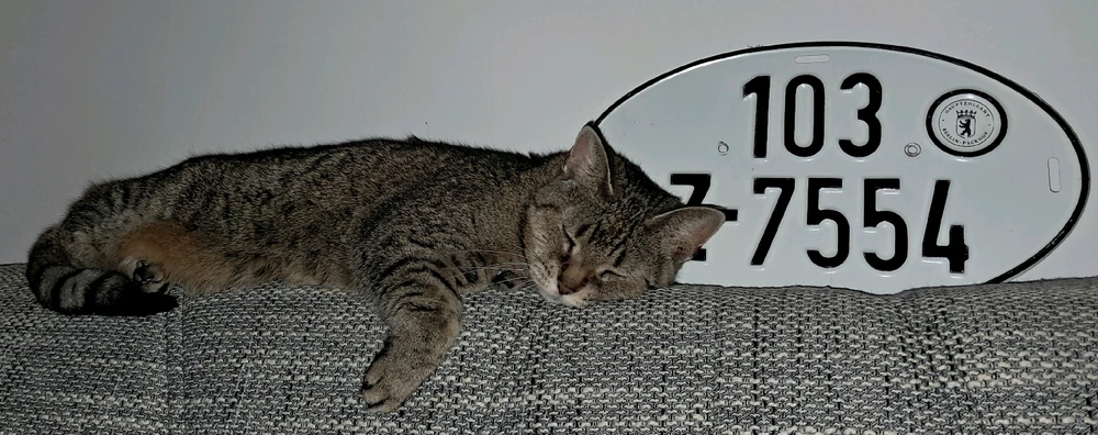 GIF hochgeladen von Christian