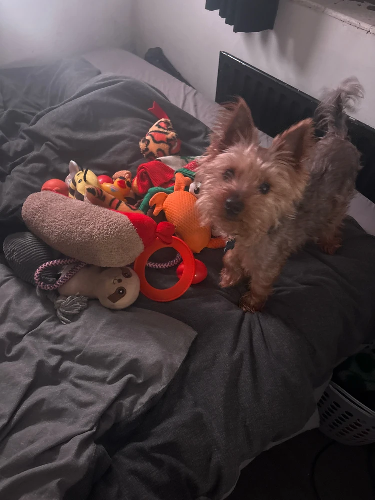 GIF diunggah dening Rhys