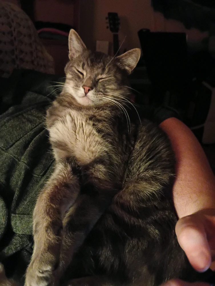 GIF uploaded by Elric