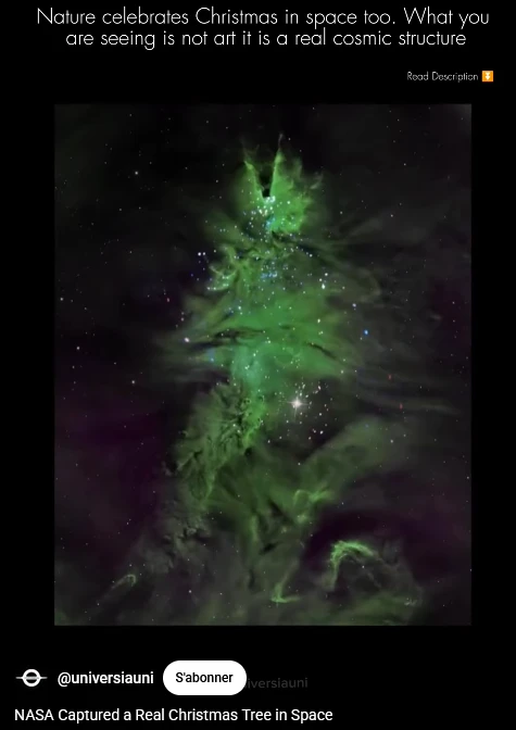 Image uploaded by Neko🐾