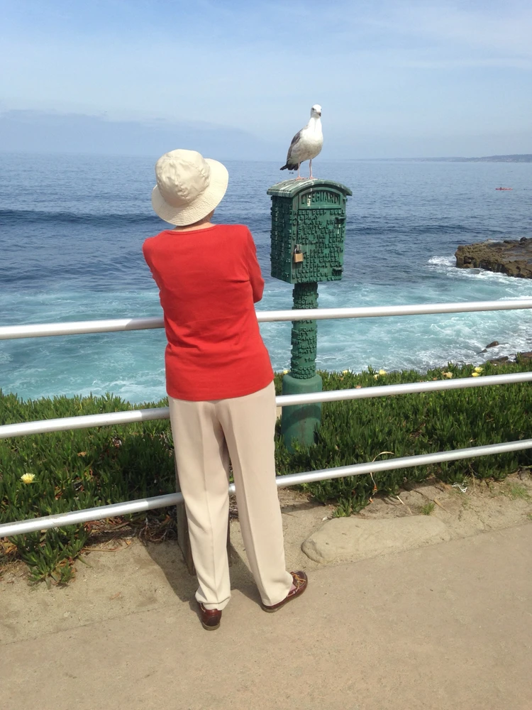 GIF uploaded by Paul