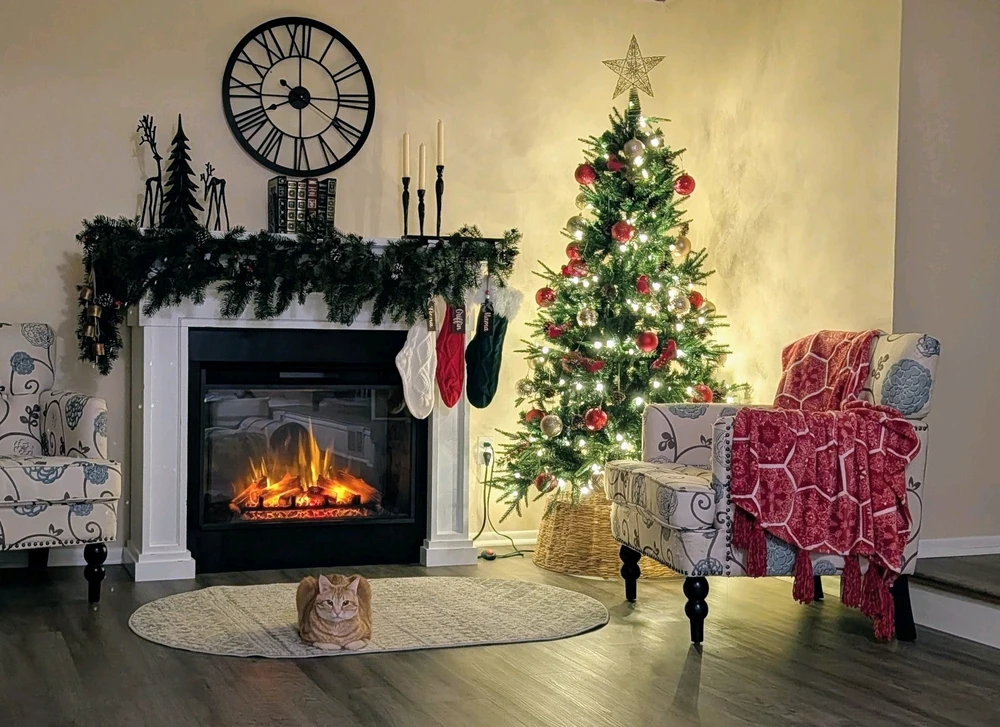 GIF uploaded by Melissa