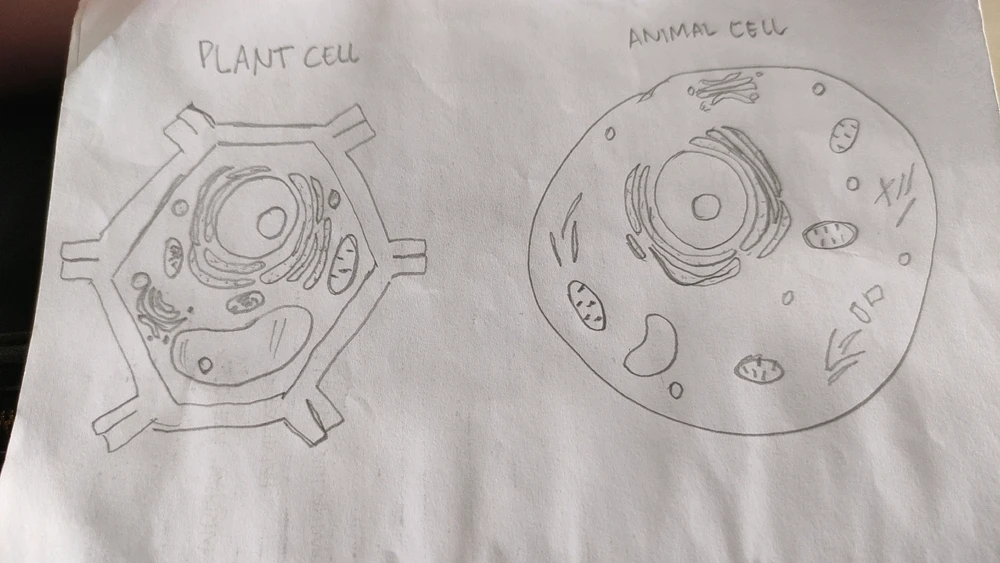 GIF diunggah oleh K Juli S