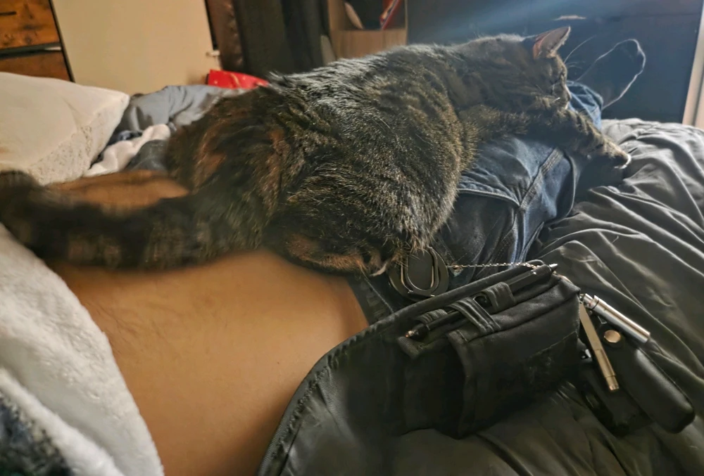 Image uploaded by Ron