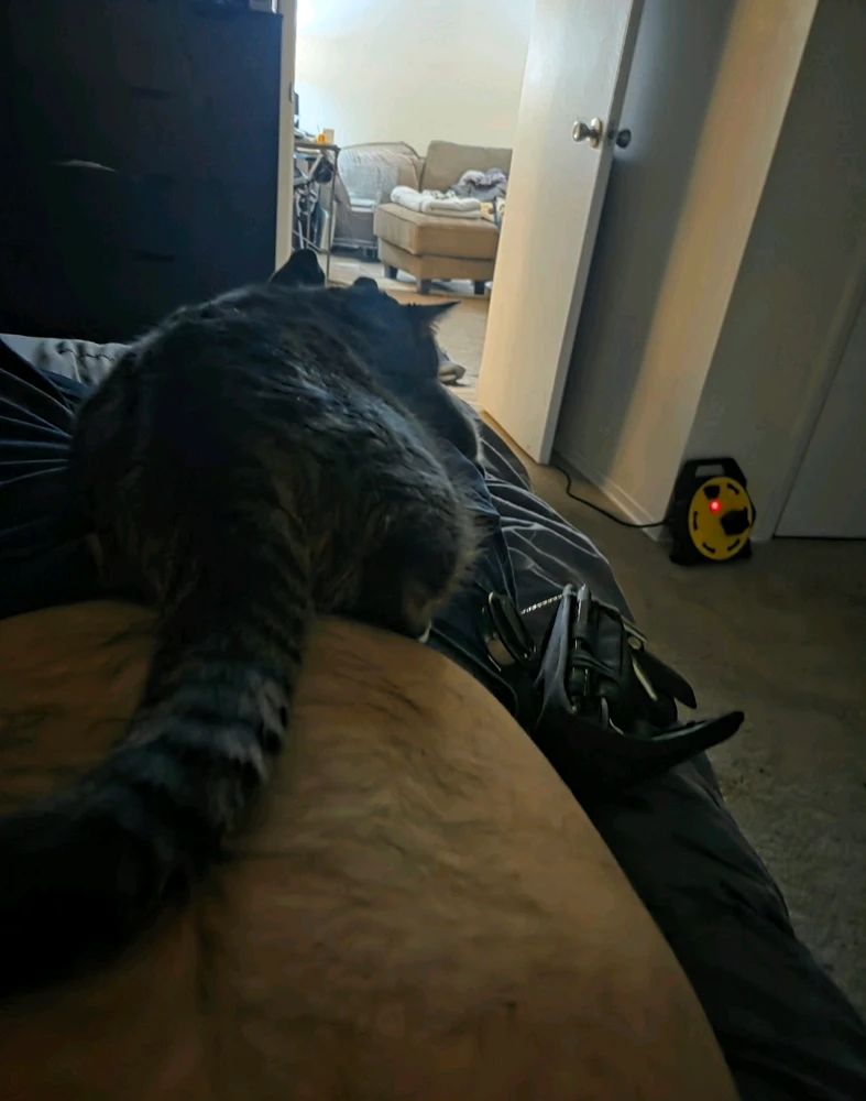 Image uploaded by Ron