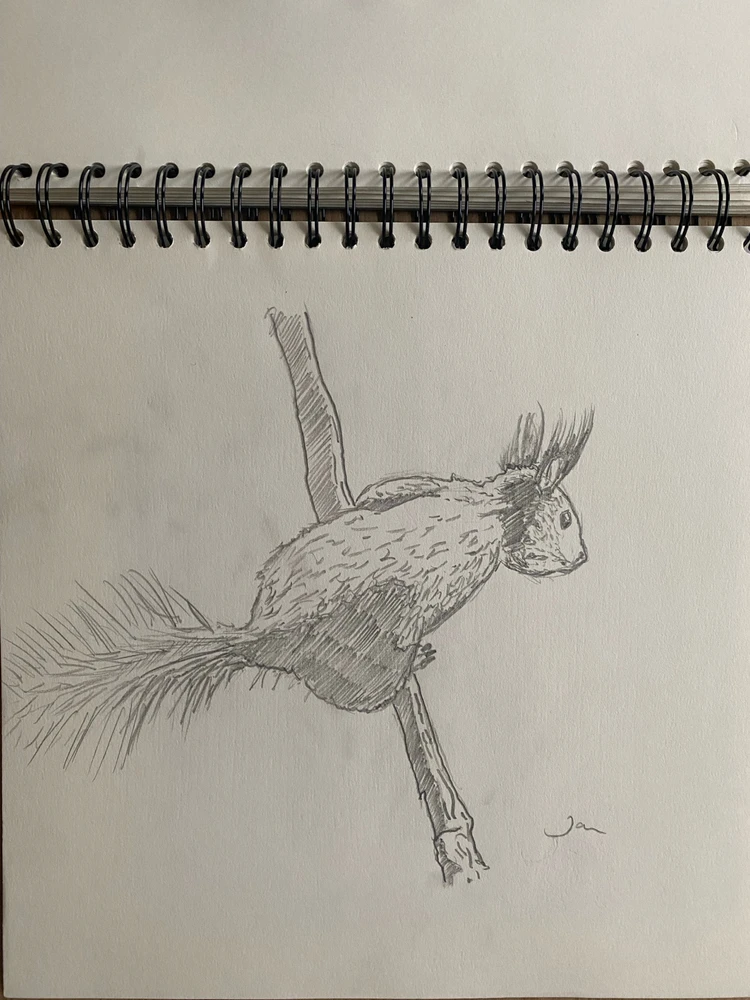 Image uploaded by Jan