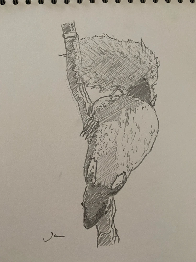 Image uploaded by Jan