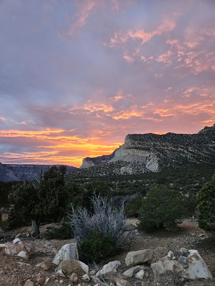 Gambar diunggah dening Nick