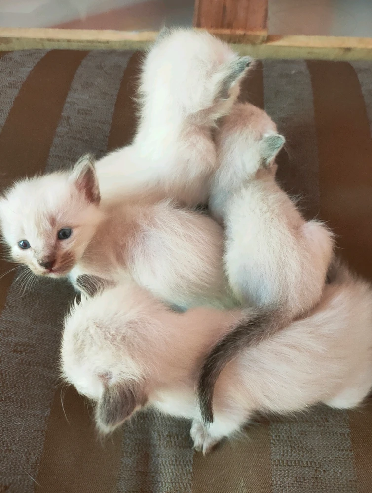 GIF diunggah dening Jellyfish