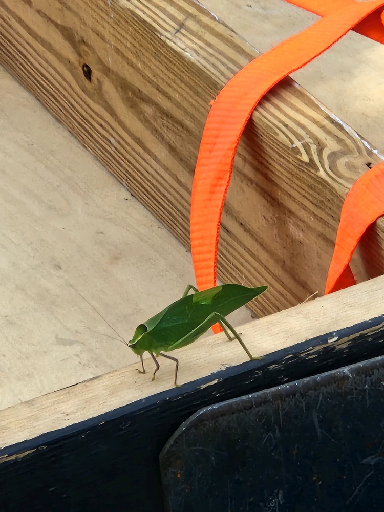 GIF uploaded by Cole