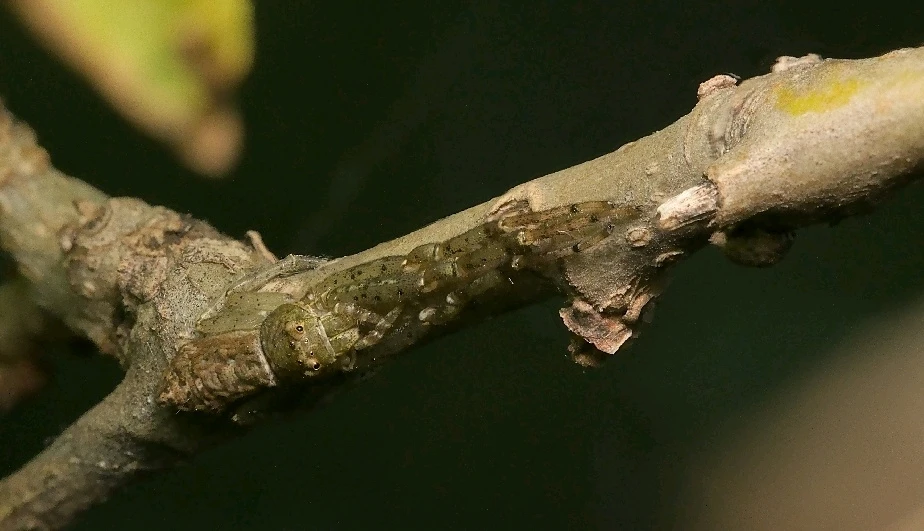 GIF uploaded by Logan