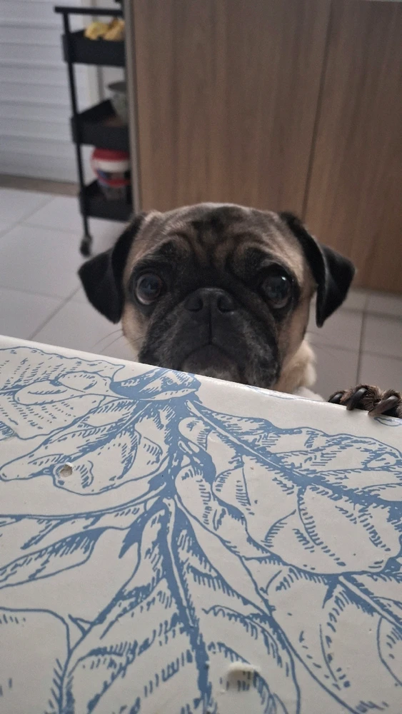 GIF enviado por Arthur