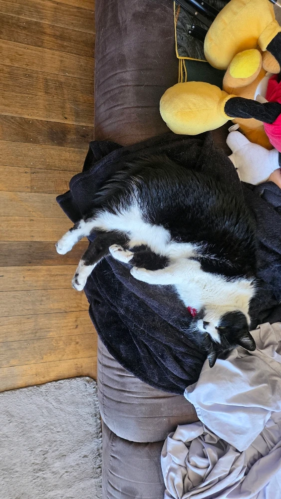 GIF diunggah dening Michael