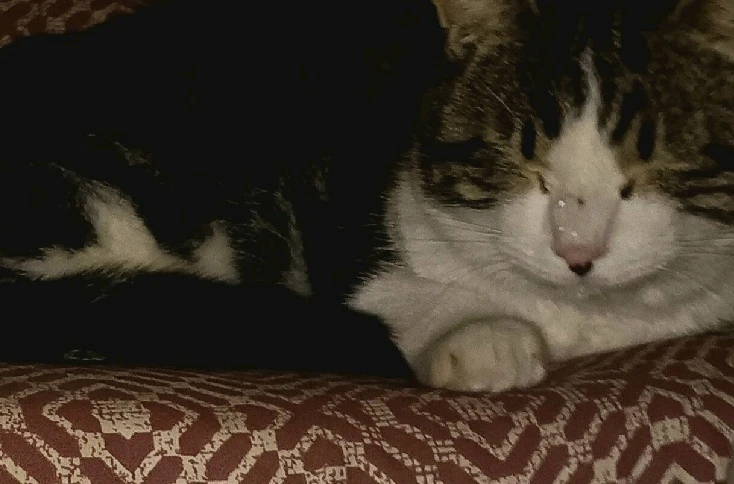 GIF diunggah dening Kevin