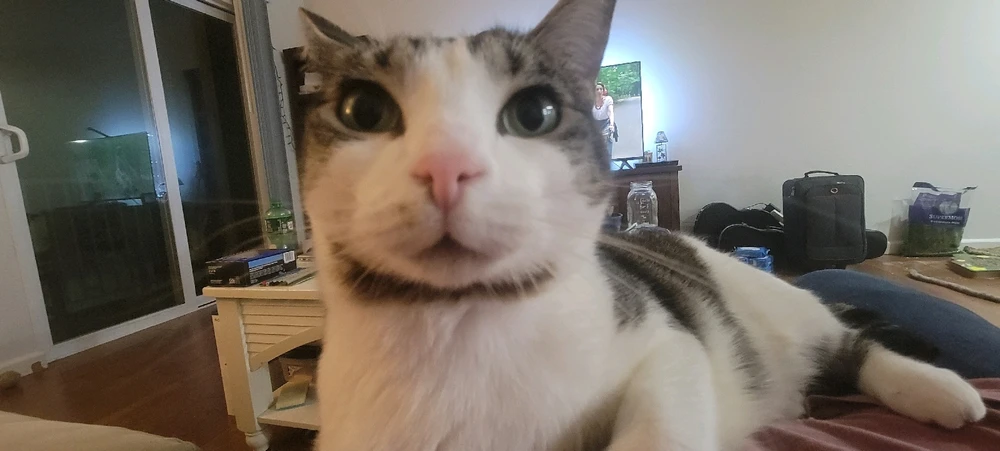 GIF diunggah dening Ethan